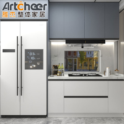 kopen Kleine Keuken Appartement Melamine Keukenkas Door met Contemporary Design Stijl online vervaardiging